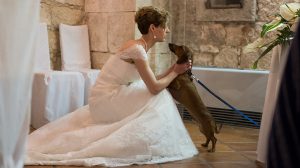 Consigli per portare il cane al matrimonio