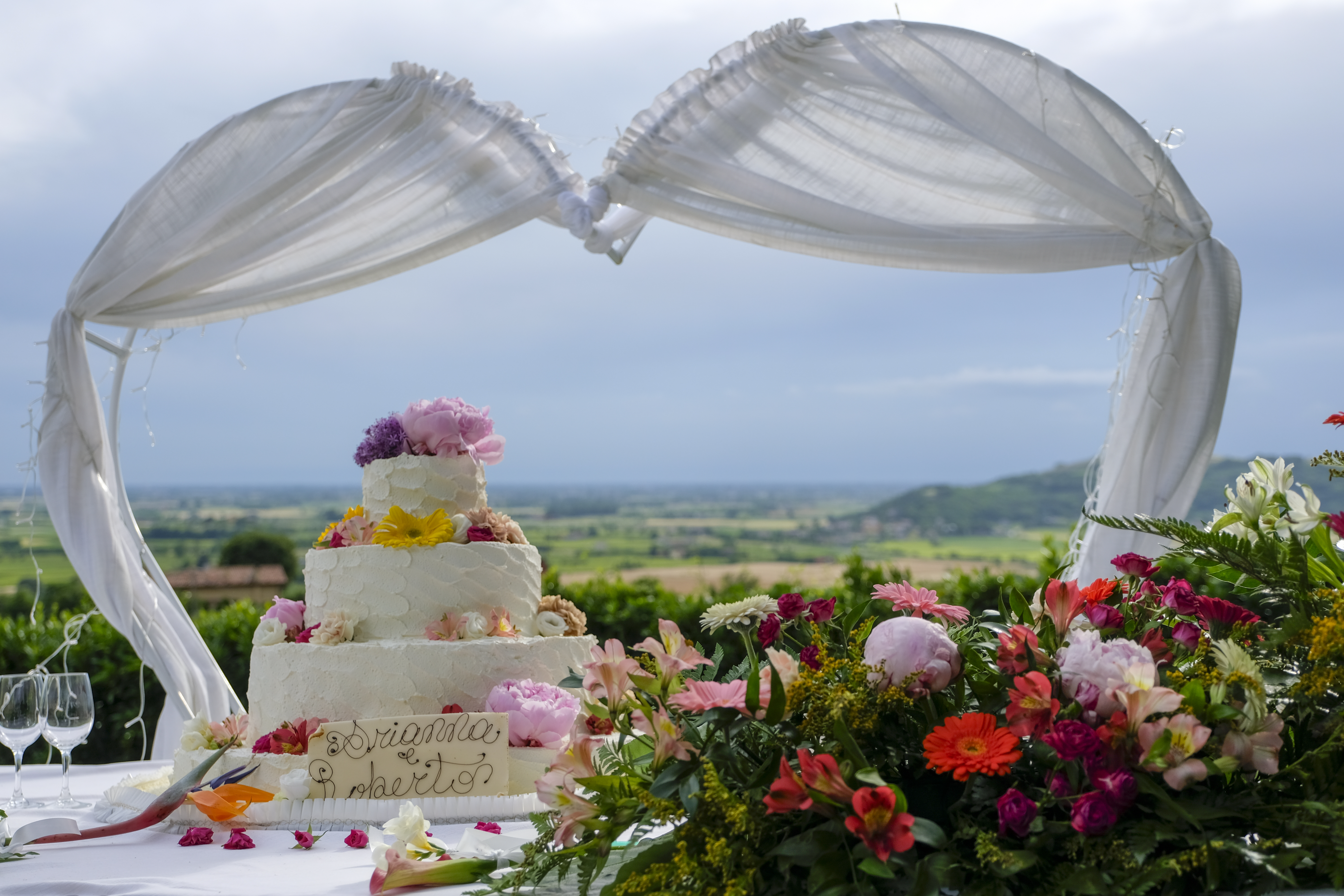 Taglio della torta con panorama mozzafiato dei colli euganei - agriturismo Monte Altore